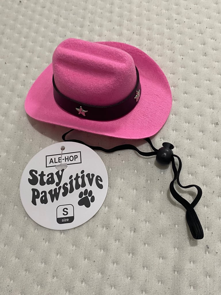 Small dog cowboy/girl hat