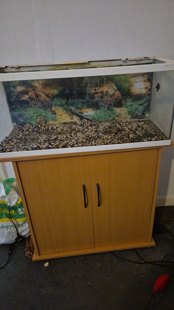 image for Fish tank and stand for sale