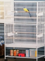 Large new Bird Cage 