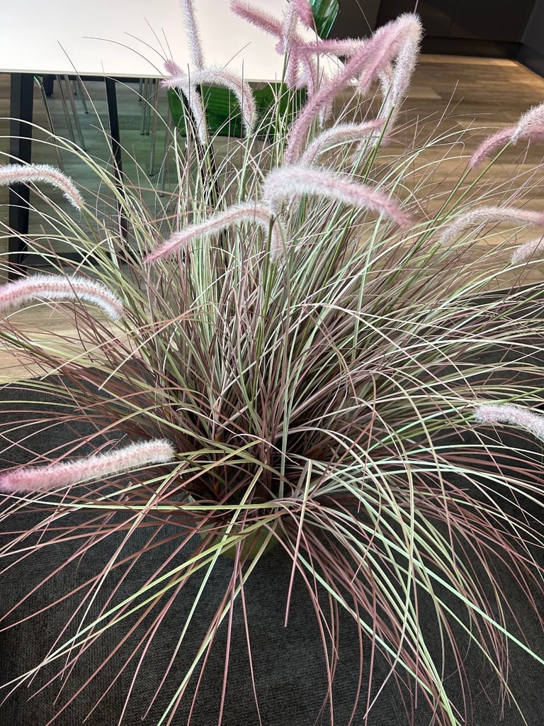 Large fake indoor plants