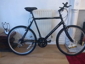 £40 raleigh bike great conditionlike new
