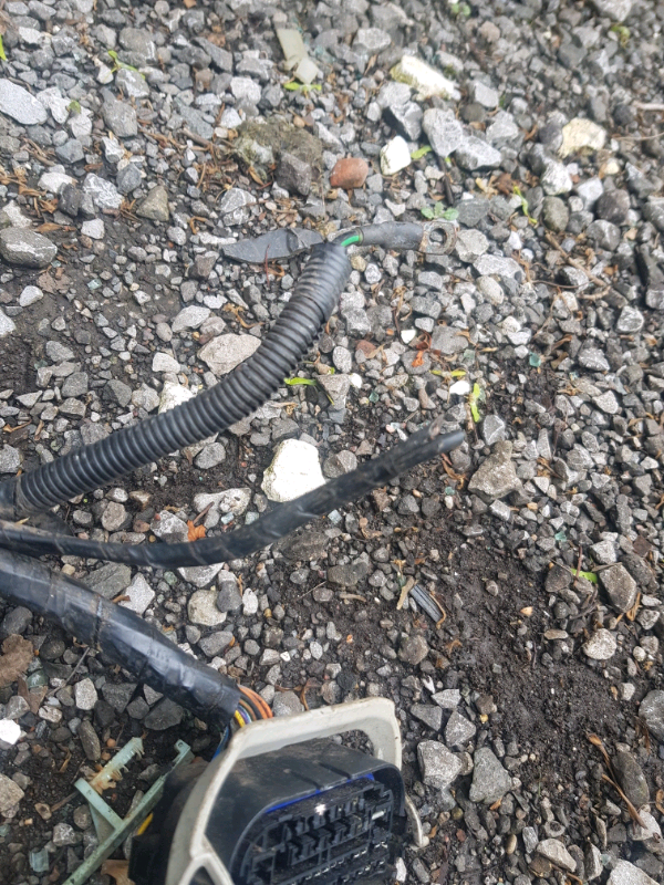 Transit mk7 under bonnet fusebox & loom