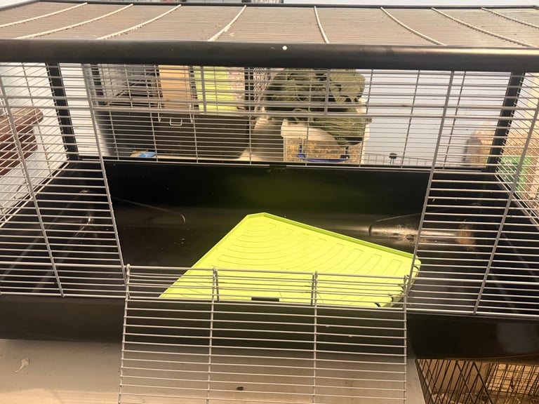 Plaza Hamster Cage - 100cm x 50cm x 50cm