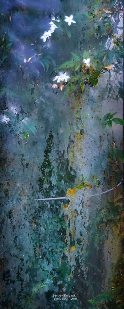 Photo collection "Under the Glass"