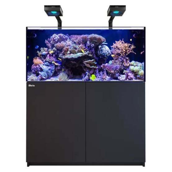 Red sea reefer 425xl