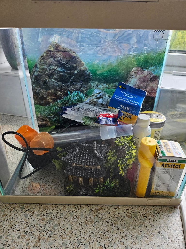 Fish tank and accessories 