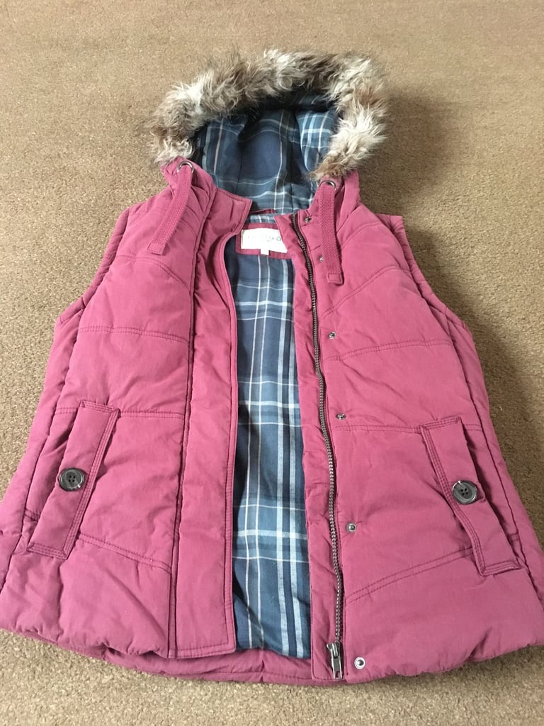 image for Ladies Padded Gilet size 10 