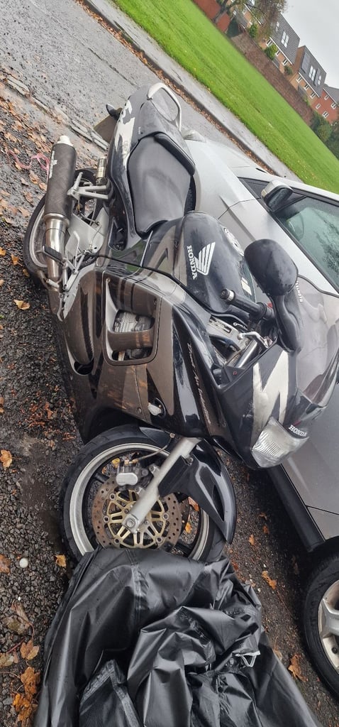 Honda, CBR, 1997, 599 (cc)