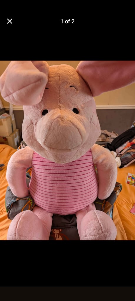 image for A giant piglet