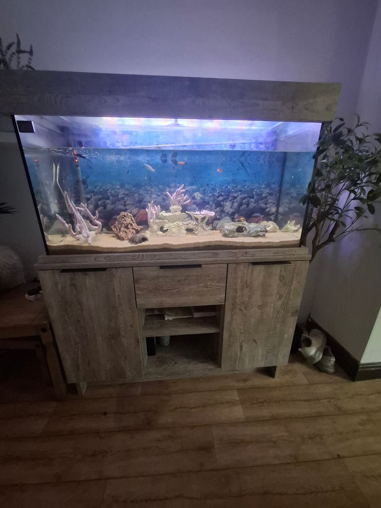 Fish tank and cabjnet 