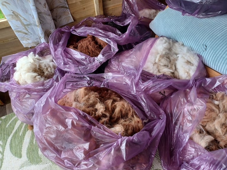Alpaca fleeces, various colours available