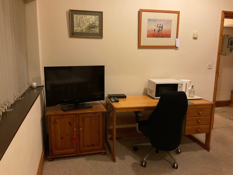 Large furnished double room 