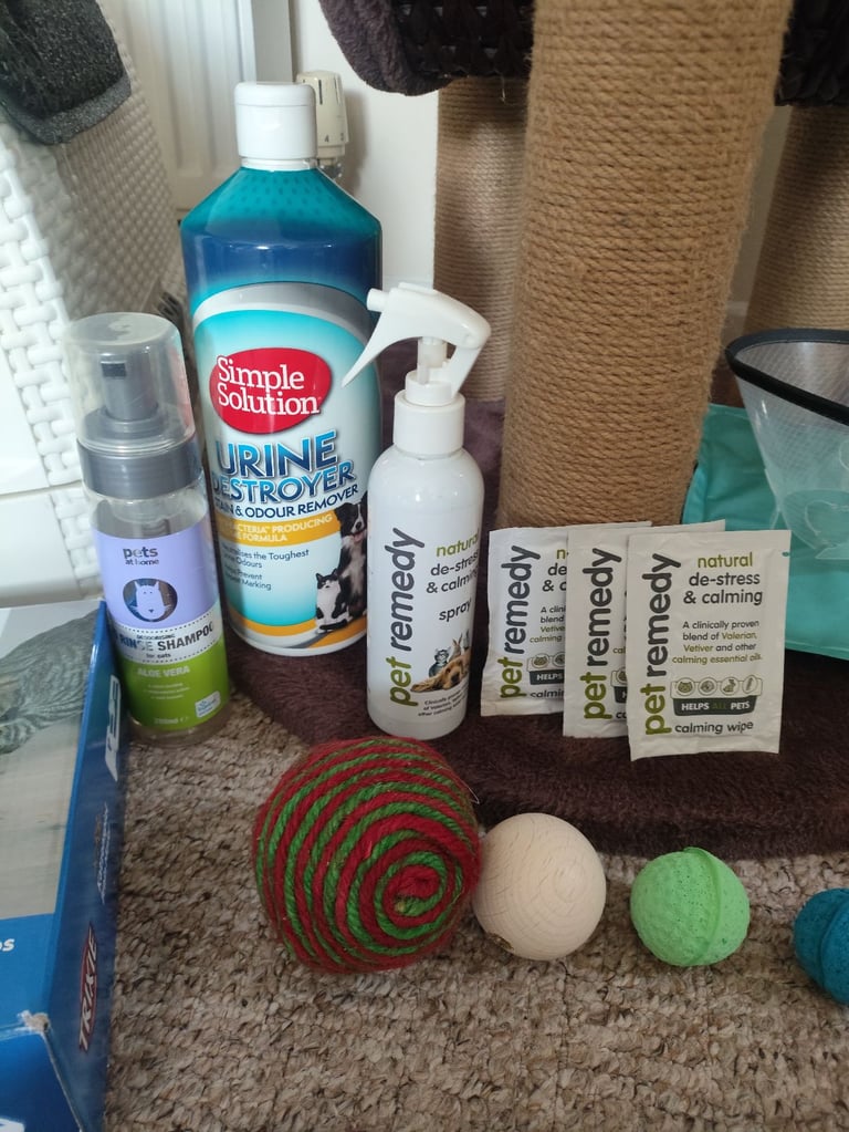 Huge Bundle of Equipment for Cats! Very good condition!