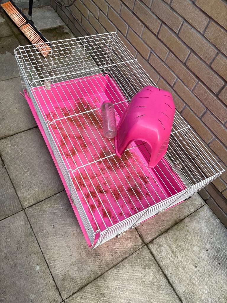 Guinea pig cage and bed 