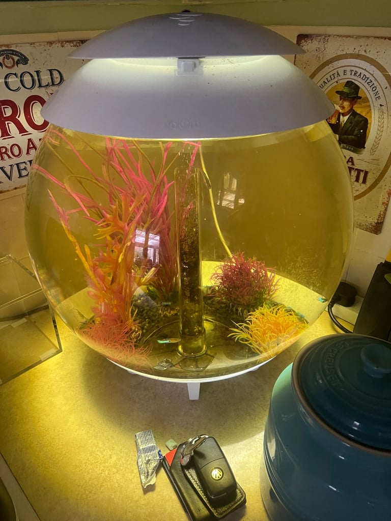 image for Biorb tank 60 l