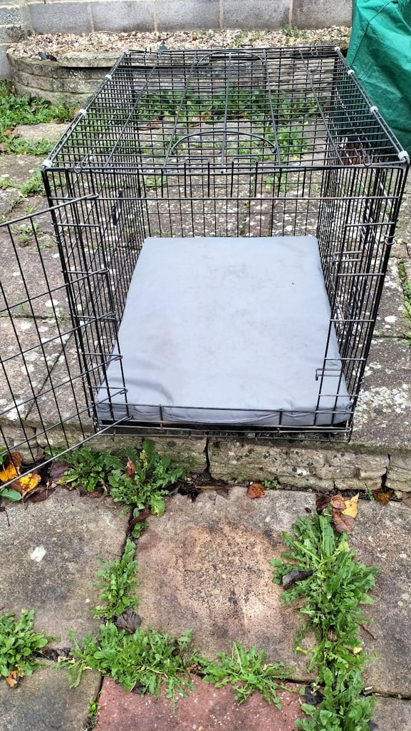 Large dog cage with two opening doors 