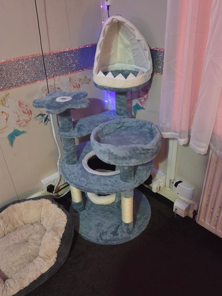 Brand new cat tree 