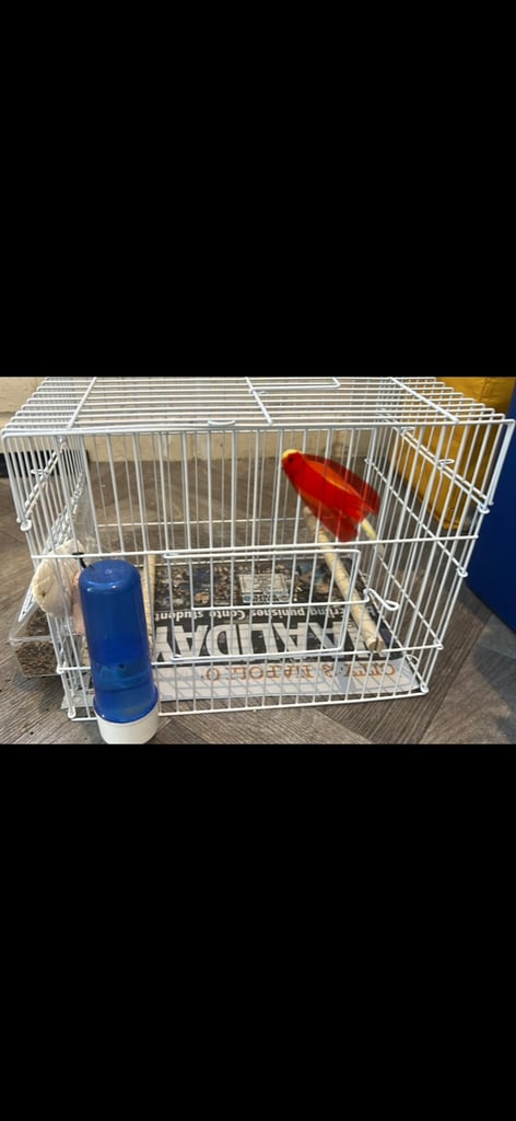 New bird cage £50 