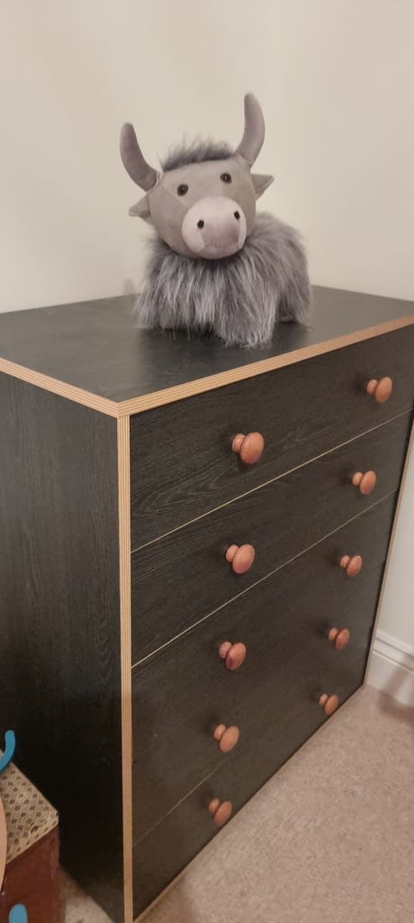 A Set! Kids Wardrobe and Chest of Drawers