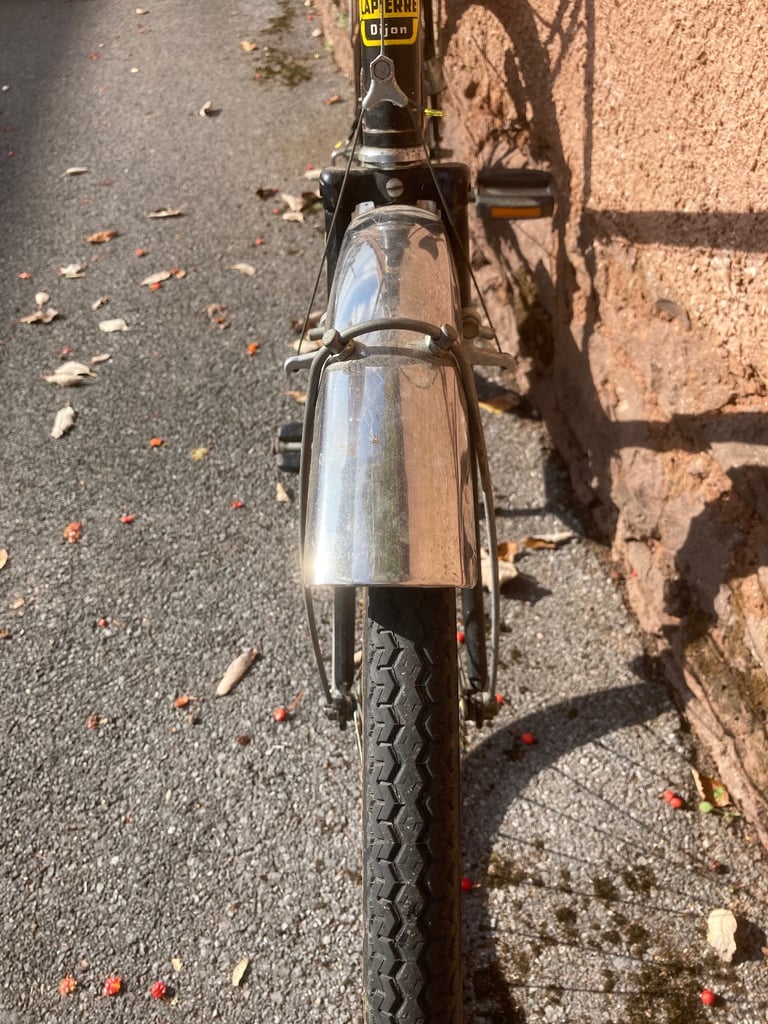 Laprade 3 speed with Brooks saddle