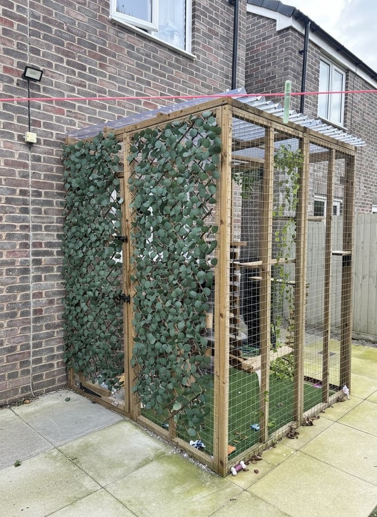 Lean to Catio
