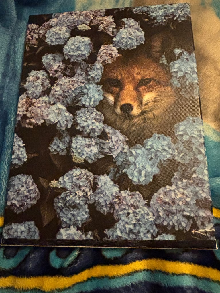 image for Fox Canvas 