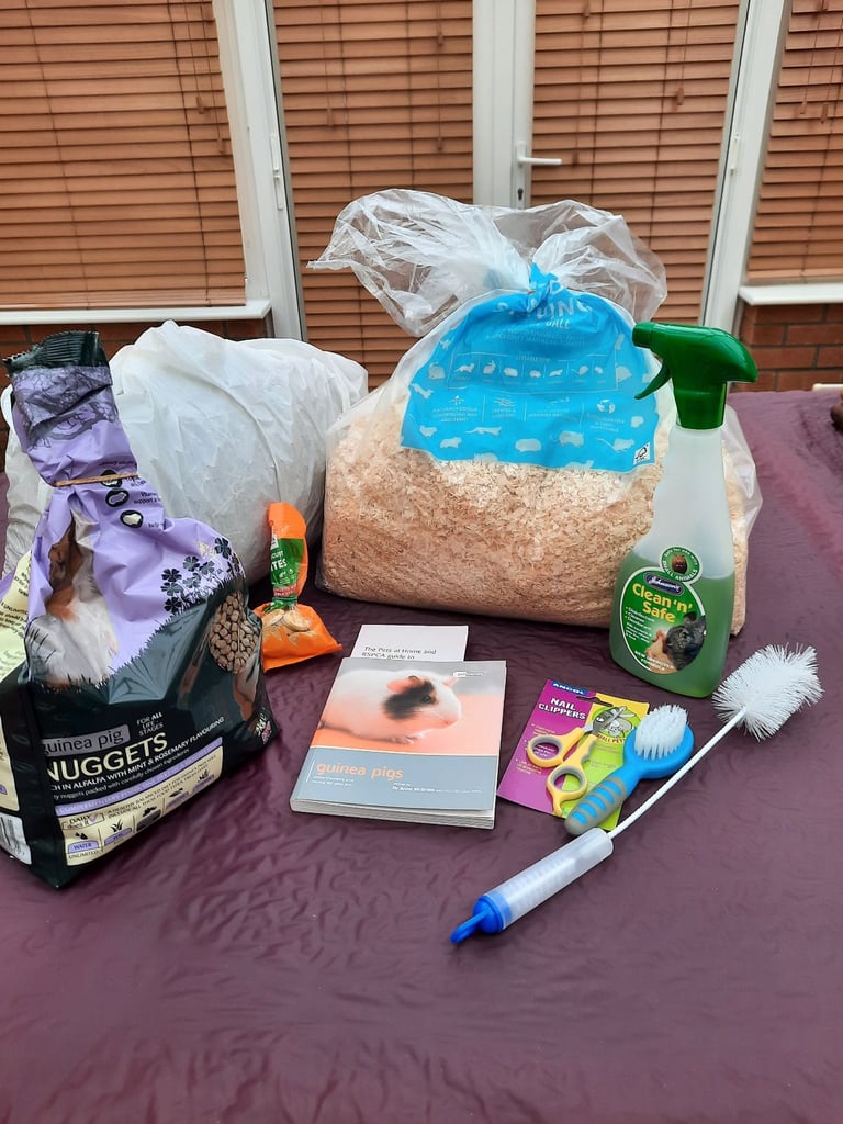 image for Guinea pig accessories 