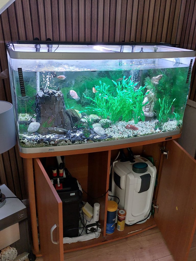 AQUA 1 FISH TANK