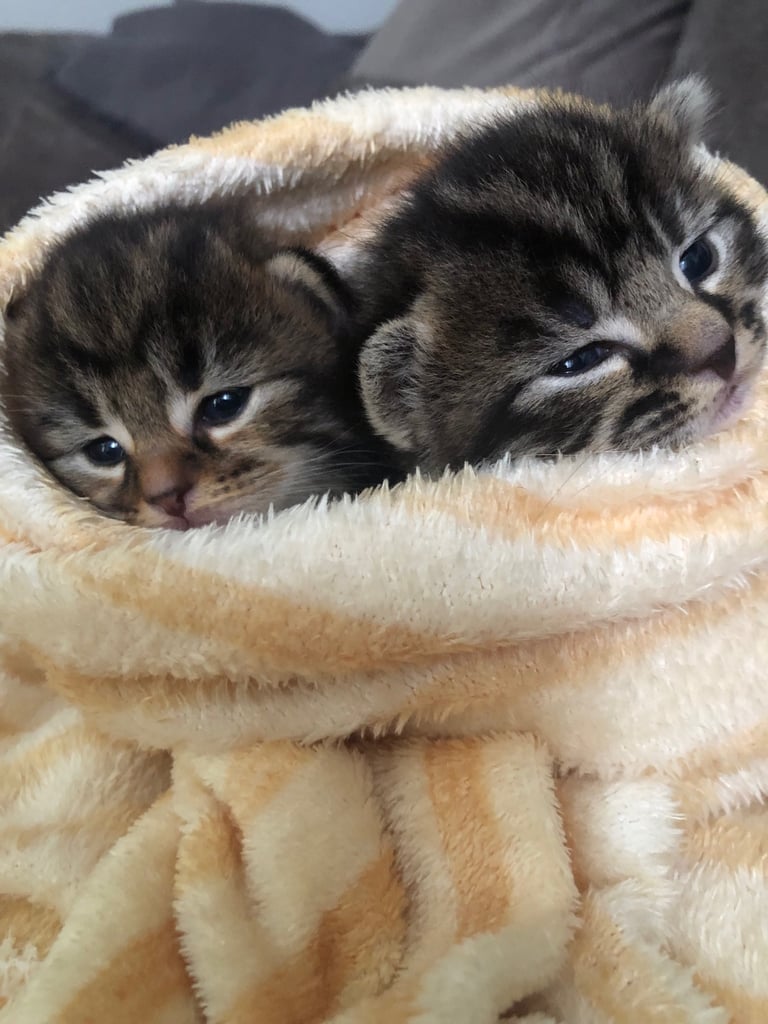 Ready to leave now !!!!!