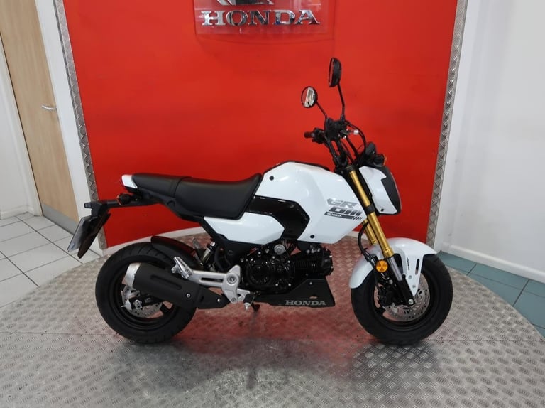 Brand new 2025 Honda MSX125 Grom