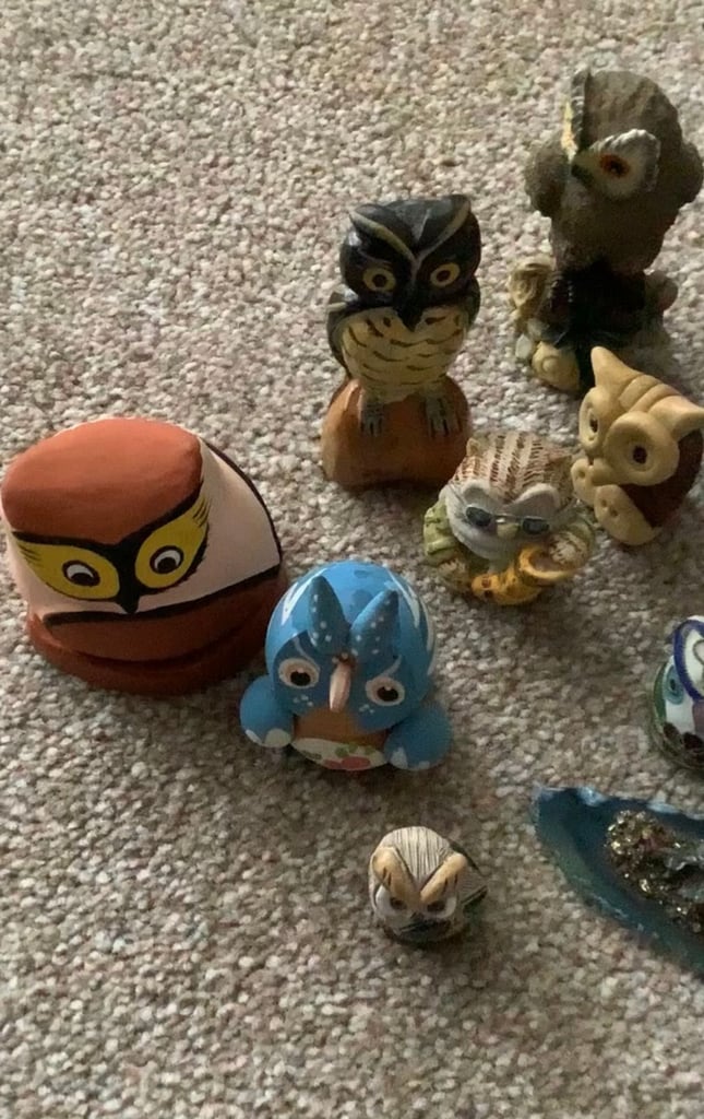 image for  Collection OWLS 