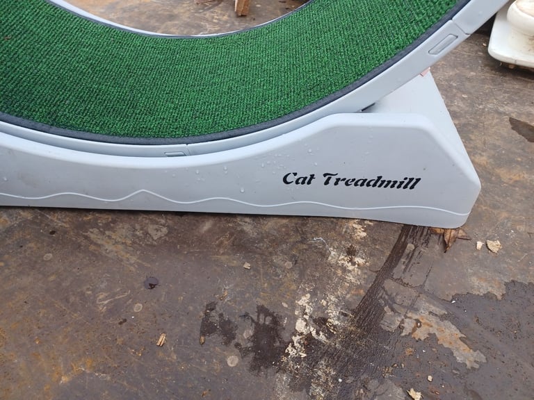 image for Cat Treadmill . 