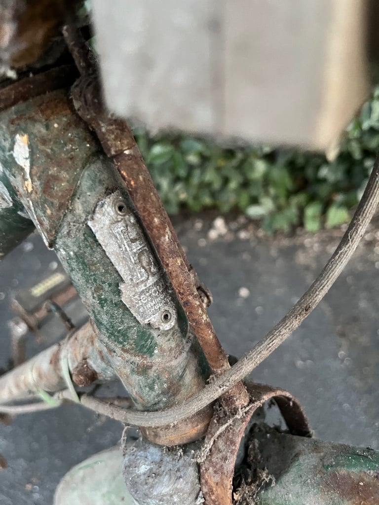 Raleigh budgie and more