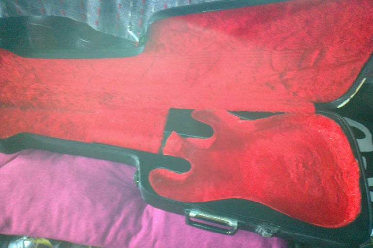 fender stratocaster guitar case