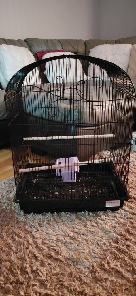 Bird cage