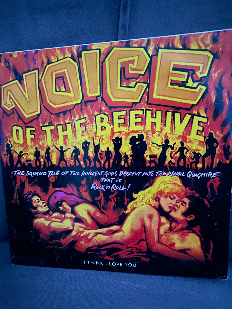 image for 1991  *Voice Of The Beehive*  