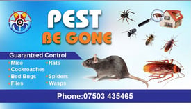 quality pest control services rats mice bed bugs ants cockroaches 