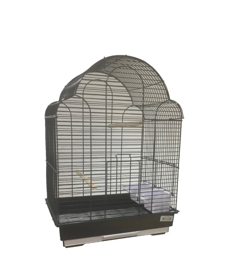 Bird cage new