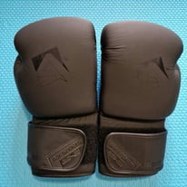 AQF Boxing Gloves for Training