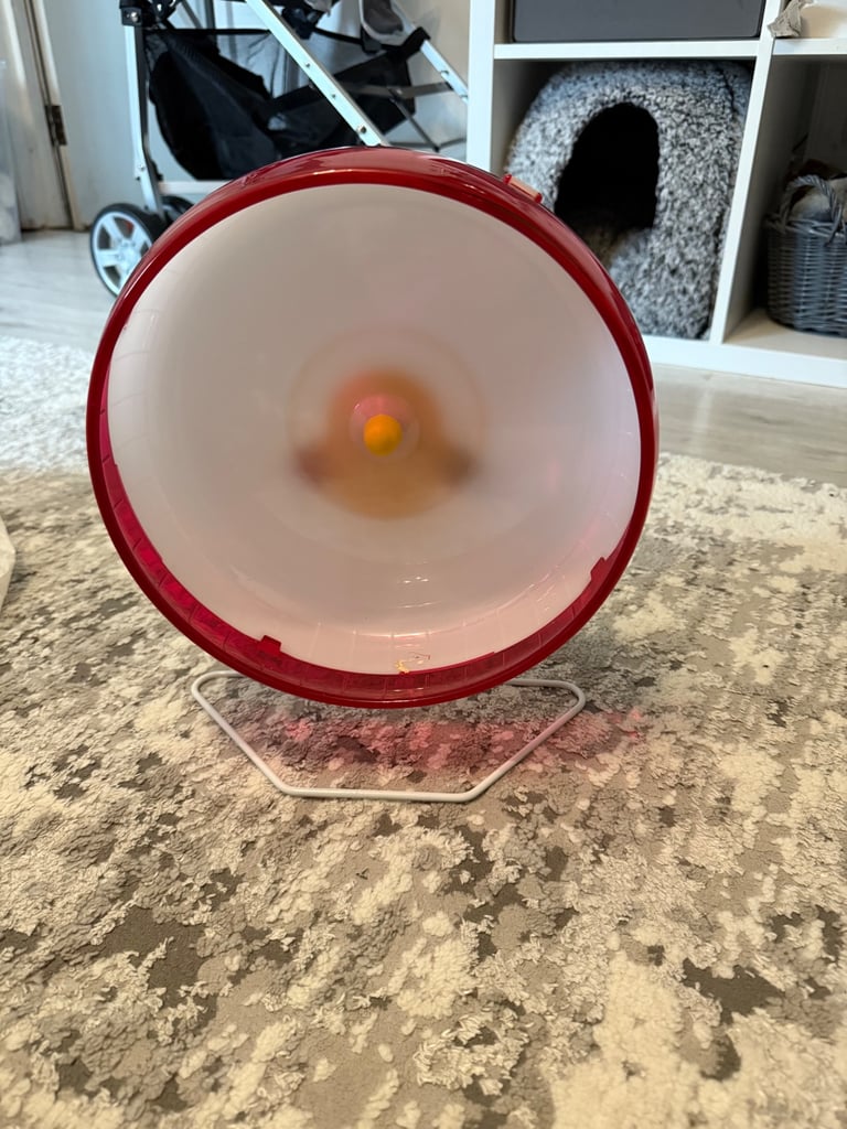 Kaytee silent spinner 