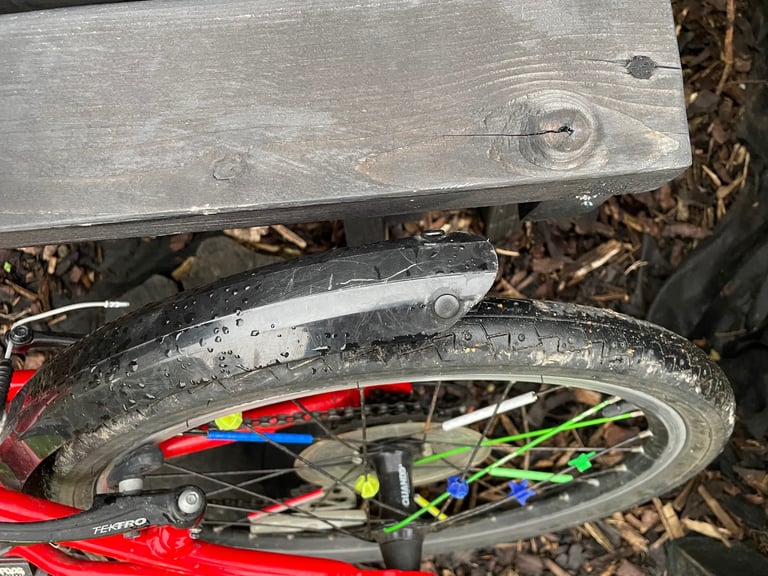 Frog 55 bike