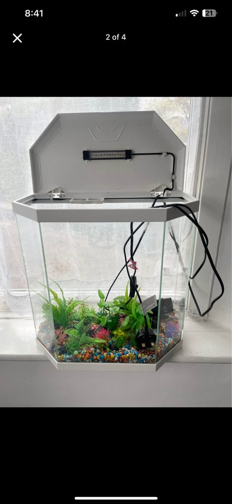image for Fish Tank