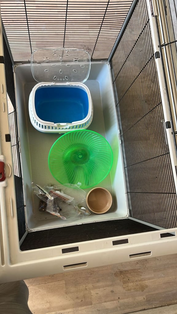 image for FREE- COLLECT ASAP: Rat/small animal cage + accessories