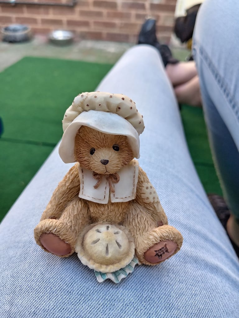 Cherished teddies collection 