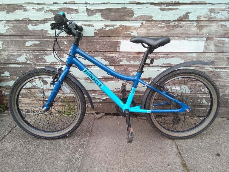 Pinnacle Ash Child's Bike 