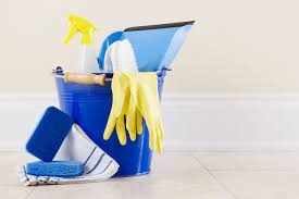 Victoria's Cleaning Services