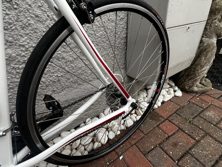 Schwinn fast back 6000 series rd bike 