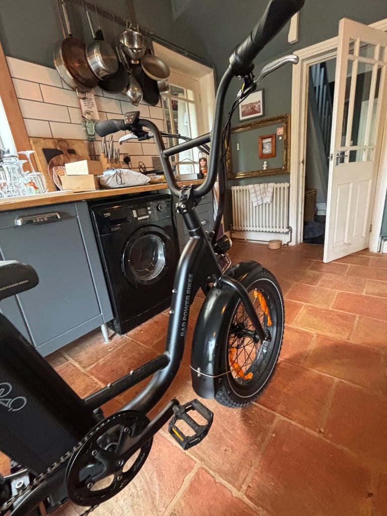 Electric Bike Rad Runner 2