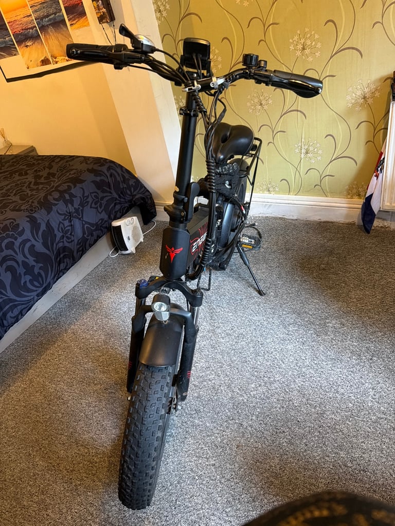 Fat tyres electric bike 