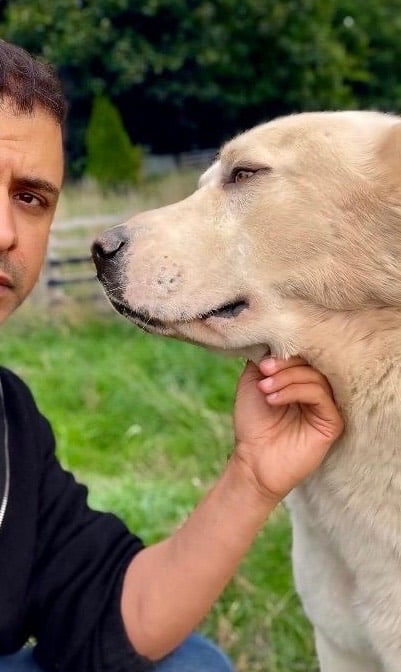 image for Meet Sultan – A Loyal and Loving Companion